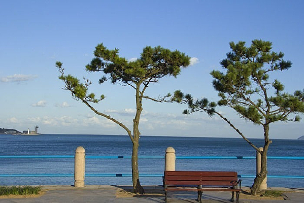 ���ߵ���