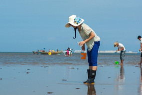 �������Ů