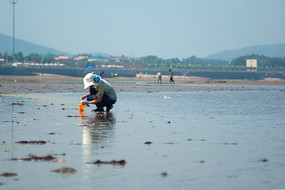 ��̲�ϲ������Ů