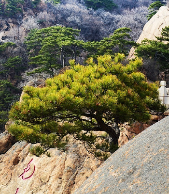 ����ɽ�羰��