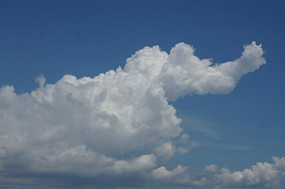 ������״���Ʋ�