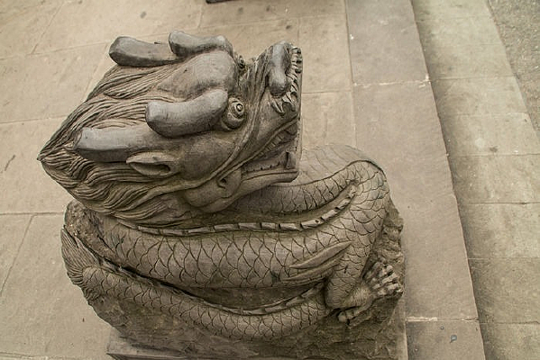 ���ĵ���