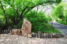 ǧɽ��԰����԰ʯ����ľ