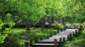 ǧɽ��԰�����������µ�·