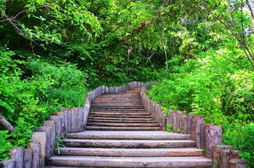 ǧɽ�һ�Ϫ�������µ�С·