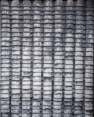 ��ש����