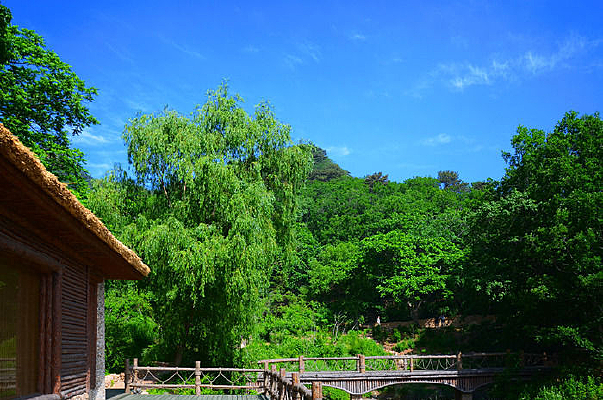 �����ƻ�Ϫ