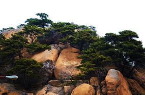 ��������ʯ�����ɵ�ɽ��������