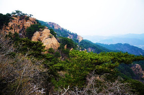 �����۾���ǧɽɽ����ɽ���ϵ�����