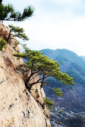 �ͱ��ϵĹ���