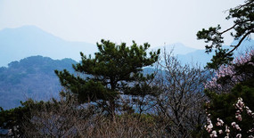 һ��������Զ����Ⱥɽ