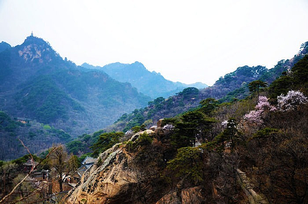 ����ɽ��