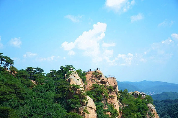 ɽ������������