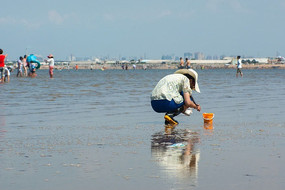 ��ҹ���Ϻ�æ