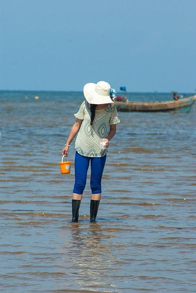 ����ɳ̲�Ϲ���