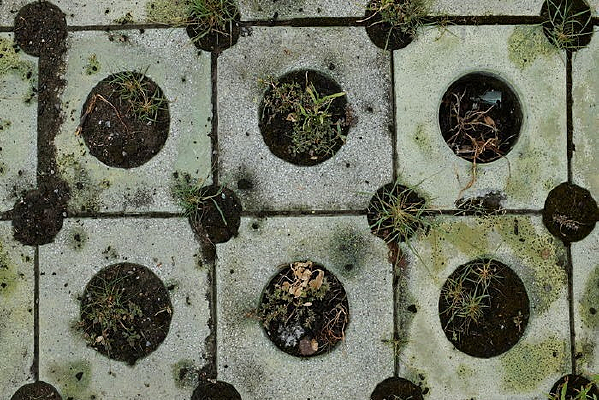 ���ݵ��汳���ز�