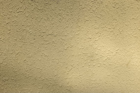 ��ɫ��͹ǽ����