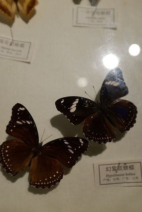 ����Ͽ��