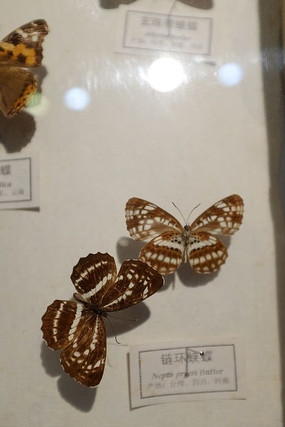 ����Ͽ��