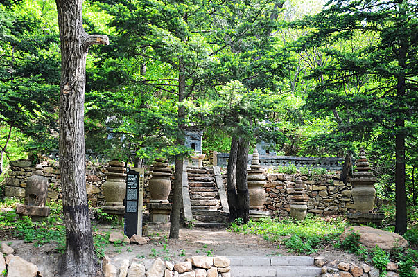 ��ɫ����