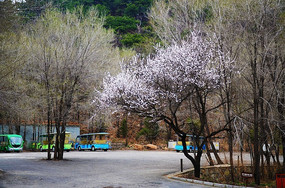 ǧɽ�羰���ڵ������빫·