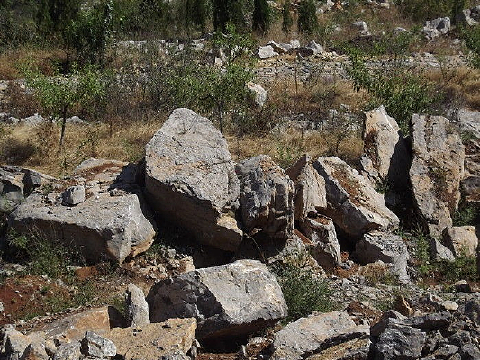 ɽ������ʯ