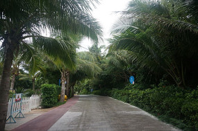 �����е�С·