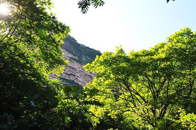 ̫��ɽ����