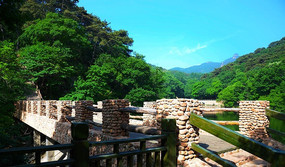 ��̶��������ɽ��������