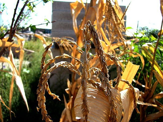 ��������������