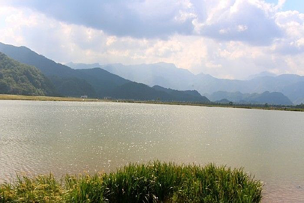 ��ũ�ܴ�ź�����