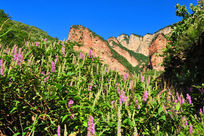 ������Ұ��