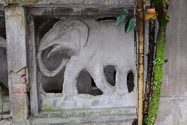 ����ǽ��