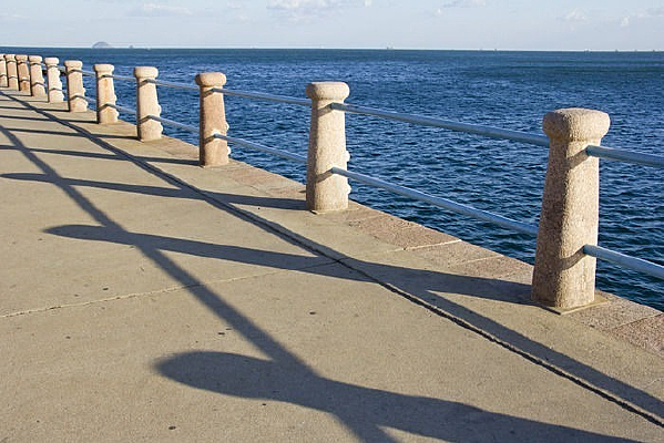 �ݵ���ľ����