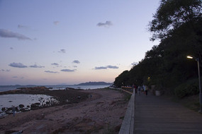 ����ľջ��