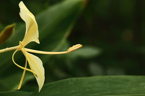 ������Ļ�