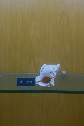 ���С����