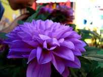 ����յĲ���