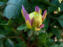 ����յĻ��Ƕ�