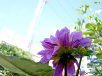 ����������¾�