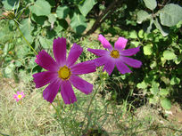 �����˹��