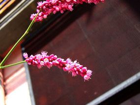 Ư��������