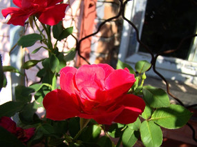 �������¼���