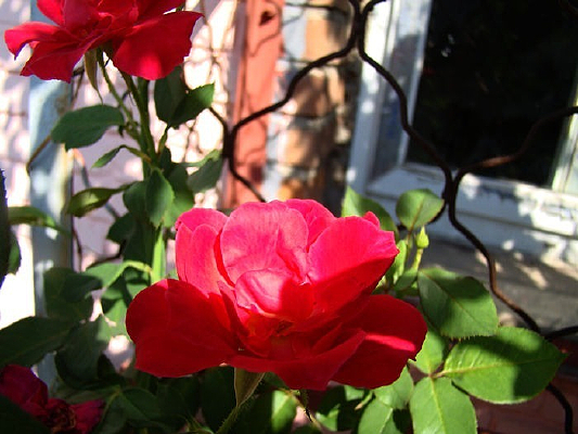 �������¼���