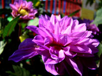 ȡ�����������