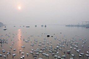 ���и���