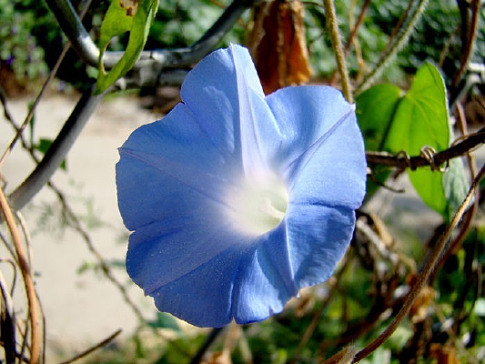 ������ǣţ��