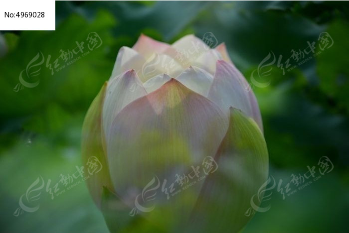 ��õĺɻ����Ƕ�ͼƬ