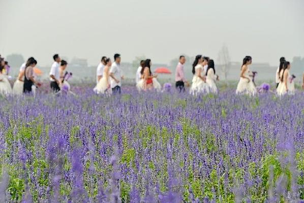 ޹�²�ׯ԰�ڵļ������