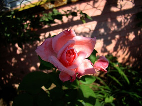 һ���ɫ�¼���